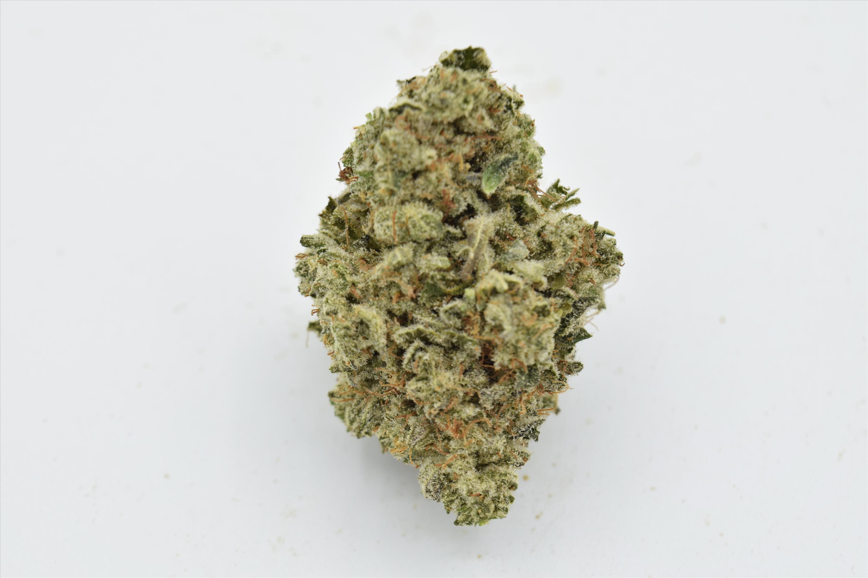Lemon Tart (Sativa) - SALE 3 OZ $115